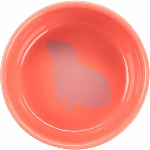 TRIXIE kerámia tál Mintával Tengerimalacoknak 250ml/11cm