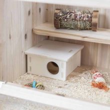 KT TRIXIE Multi-chamber house fából készült odú 2 kamrás, egerek és hörcsögök részére 20x10x20cm