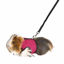 KT TRIXIE Hám Pórázzal Nylon Rágcsálóknak Strapabíró 18?25cm/1,20m Tengerimalac (XRAT)