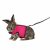 TRIXIE hám és póráz szett Nylon Puha Strapabíró Nagytestű Nyulaknak 25-40cm/1,20m