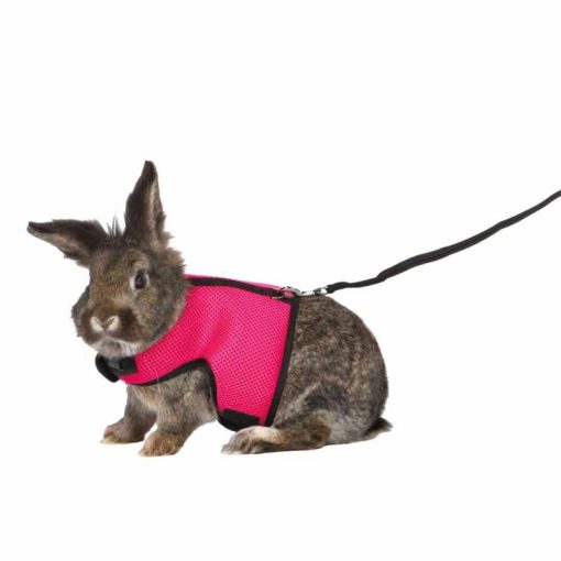 TRIXIE rágcsáló hám és póráz szett Nylon Puha Strapabíró Nagytestű Nyulaknak 25-40cm/1,20m
