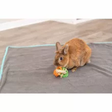 TRIXIE Gyűrűk kukoricalevélből Tengerimalacoknak és Nyulaknak 6x15cm