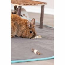 TRIXIE rágcsáló játék Botocskák tengeri fűvel Nyulaknak 2db 10x3cm