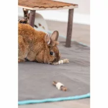 TRIXIE Botocskák tengeri fűvel Nyulaknak 2db 10x3cm