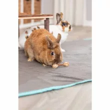 TRIXIE Fűből és Jutából készült játék súlyzók nyulaknak 9x2cm