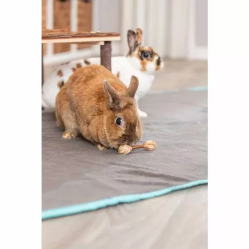 TRIXIE Fűből és Jutából készült játék súlyzók nyulaknak 9x2cm