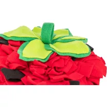 TRIXIE Szimatszőnyeg Eper formájú Tengerimalacoknak és Nyulaknak 33x40cm