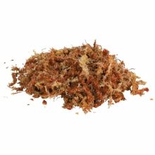 TRIXIE REPTILAND Sphagnum Moss tőzegmoha  4,5L
