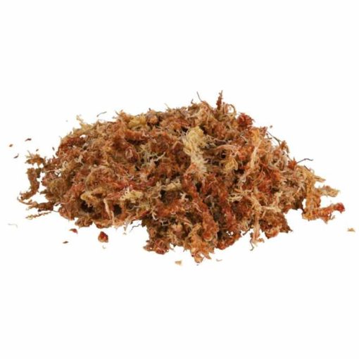 TRIXIE REPTILAND Sphagnum Moss tőzegmoha  4,5L
