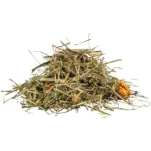 TRIXIE REPTILAND Füvek és réti gyógynövények  teknősbékáknak 200g