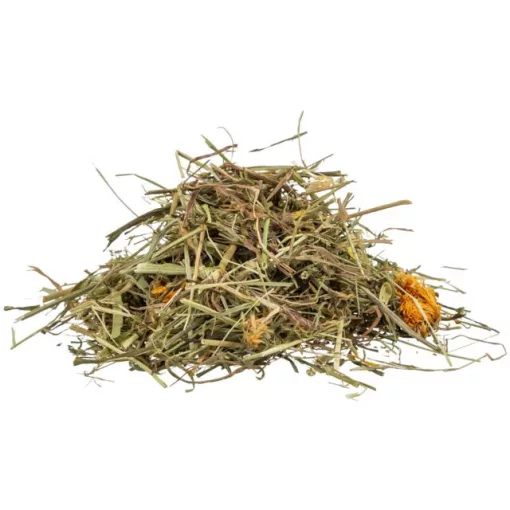 TRIXIE REPTILAND Füvek és réti gyógynövények  teknősbékáknak 200g