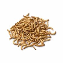 LITTLE ONE lisztkukac 200ml