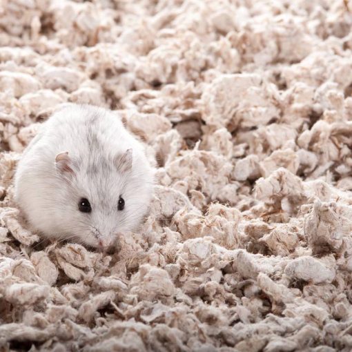 CHIPSI alom Carefresh Original 60L ÚJRA ELÉRHETŐ