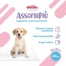 AssorbiPiu kutyapelenka 60x60cm 40db csomag