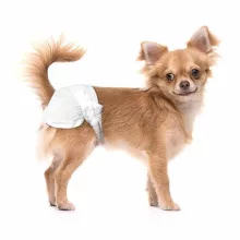 ASSORBIPIU Tüzelőbugyi S eldobható polimer anyagból 12db/cs