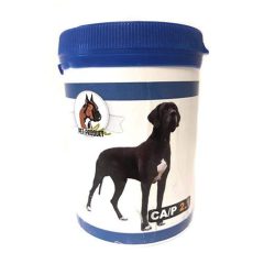   PET PRODUCT Csonterősítő tabletta CA/P 2.1 160db Nagytestű kutyáknak