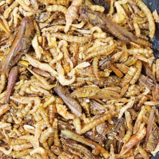 JR FARM Fehérje koktél 10g