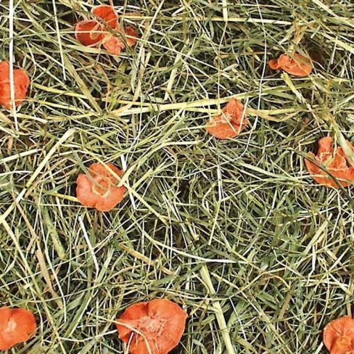 .JR FARM széna 1,5kg Sárgarépás