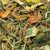   JR FARM Healty Mix Gabonamentes törpenyúl eledel gyógynövényekkel 600g