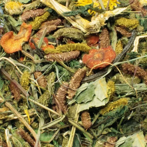 JR FARM Healty Mix Gabonamentes törpenyúl eledel gyógynövényekkel 600g