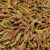 JR FARM Gabonamentes tengerimalac eledel complete 600g