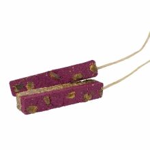 JR FARM csemege rúd Protein Birdys Fruit - gasshopper 150g madaraknak ***ÚJRA ELÉRHETŐ***