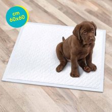 TAPISS kutyapelenka M 60x60cm 10db/csomag