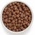 GRANDORF Dog 4 Meat and Brown Rice Adult Medium&Maxi 10 Kg száraz kutyatáp