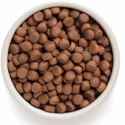 GRANDORF Dog Adult 4 Meat and Brown Rice Grain Free Medium&Maxi 10 Kg száraz kutyatáp