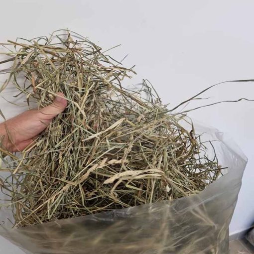 BUNNY YUMMY Réti széna Pitypang levéllel 5kg