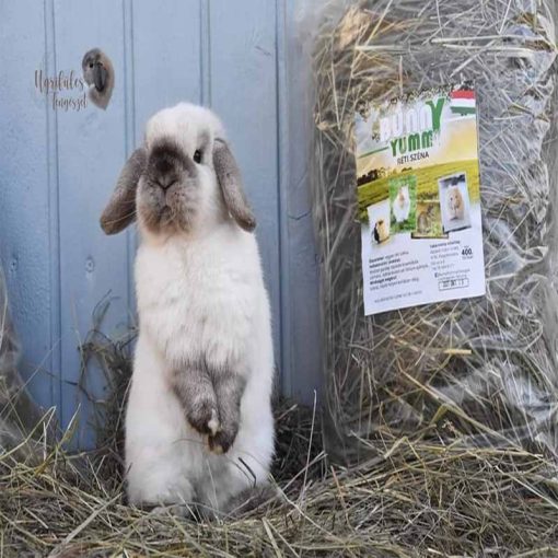 BUNNY YUMMY Réti széna Pitypang levéllel 5kg