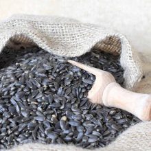 KM Fekete Napraforgó 4kg