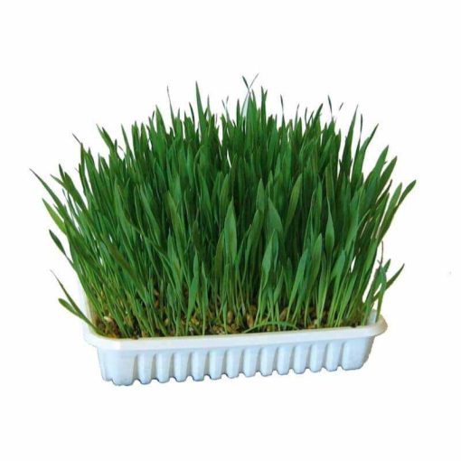 KM Macskafű 50g