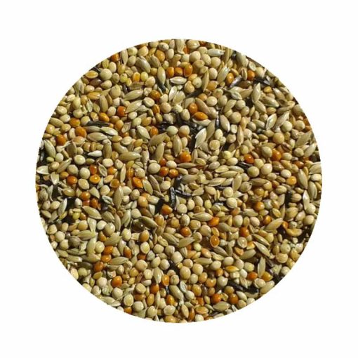 KM VOLIER Pinty eleség 1kg Dobozos