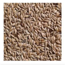 KM Volier Fénymag 1kg