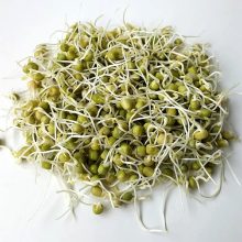Salátaborsó 50g csíráztatásra
