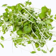 BIOMAG Mustármag 50g csíráztatásra