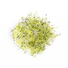 BIOMAG Póréhagyma 15g csíráztatásra