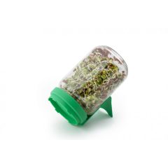 Csíráztató üvegedény