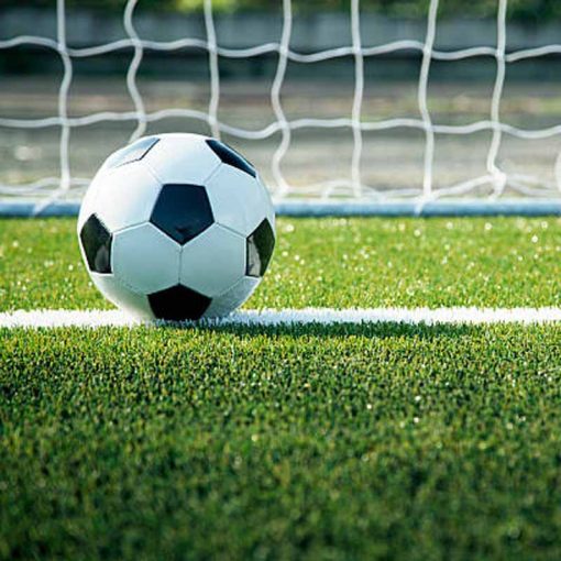 Fűmagkeverék Stadion Sport (Taposástbíró) 5kg