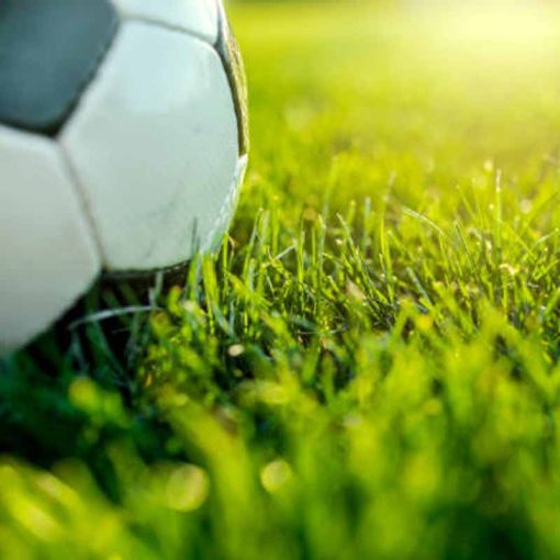 Fűmagkeverék Stadion Sport (Taposástbíró) 5kg