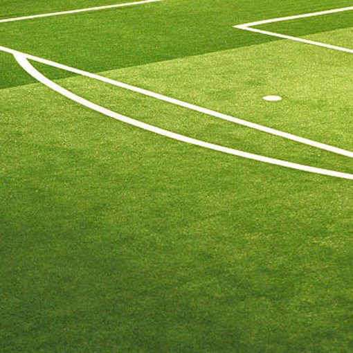 Fűmagkeverék Stadion Sport (Taposástbíró) 10kg