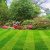 Fűmagkeverék Margitszigeti pázsit (Díszpázsit) 5kg
