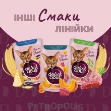 DELICKCIOUS alutasakos macskaeledel 85g Szaftos Lazac Sajt Krémlevesben