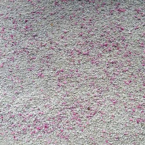 SANICAT macskaalom Bentonit White Rose Fehér 8L