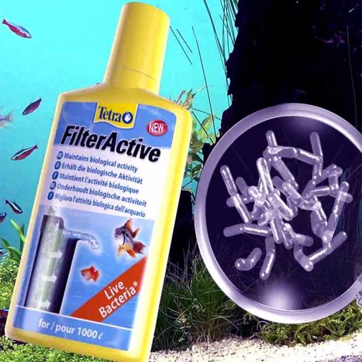 TETRA FilterActive 100 ml baktériumok új szűrő indításhoz