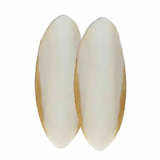 VITAKRAFT Szépia 2db-os