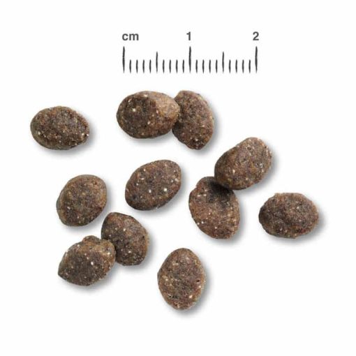 BELCANDO kutya száraztáp Puppy szósszal  1kg (friss hússal)