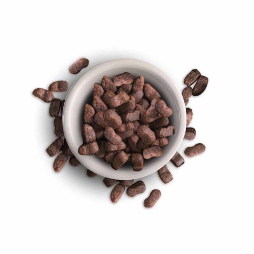 LEONARDO Premium macskatáp GF  300g Adult MAXI - Friss hússal