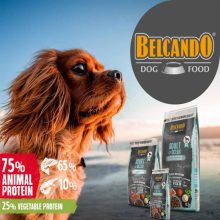BELCANDO kutya száraztáp Adult GF Single Protein 4kg Ocean
